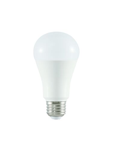 ortech_a19-14wd