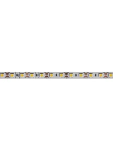 dainolite_dlt-17340