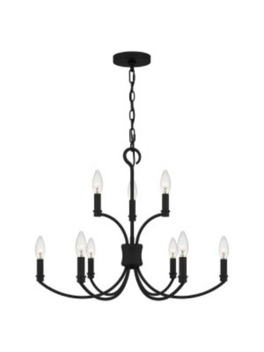 quoizel_brr5025mbk