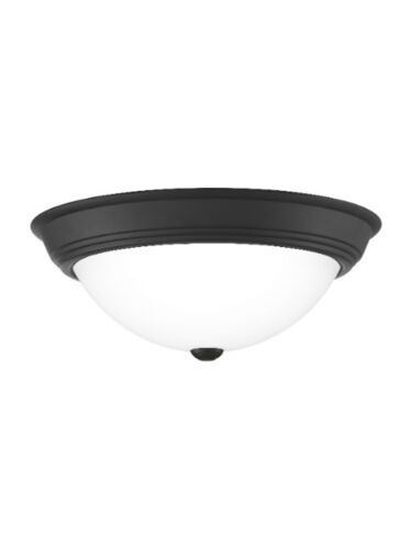 quoizel_erw1615mbk