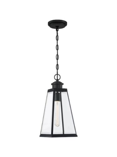 quoizel_pax1907mbk