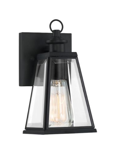 quoizel_pax8305mbk