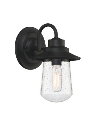 quoizel_rad8405mbk