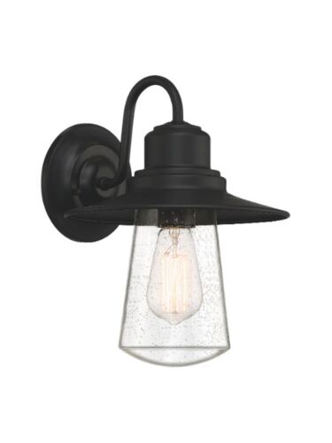 quoizel_rad8410mbk