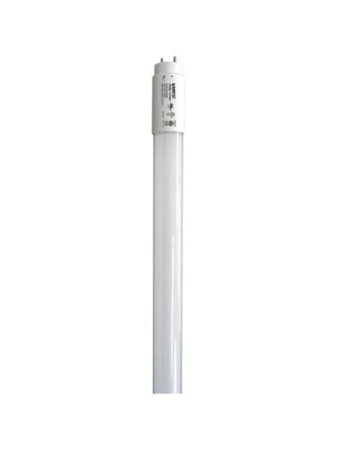 satco_S11955