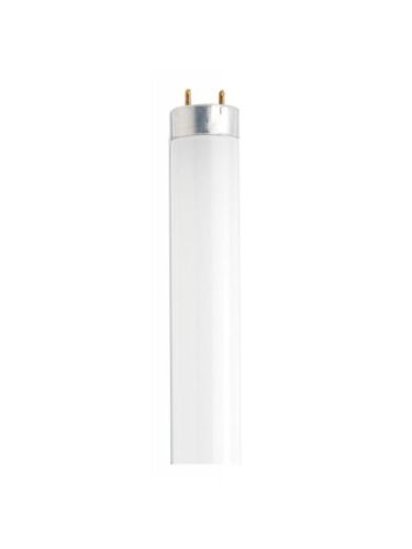 satco_ s26516