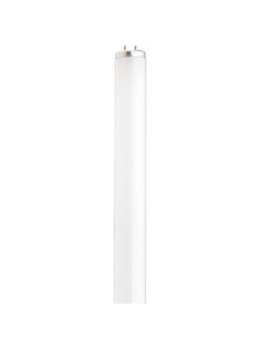 satco_s26566