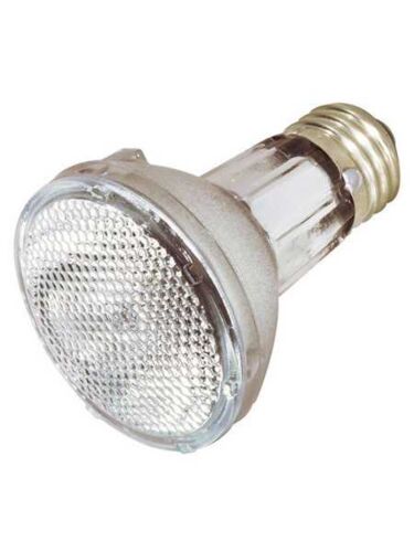 satco_s4284