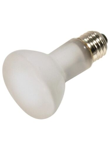 satco_s4886