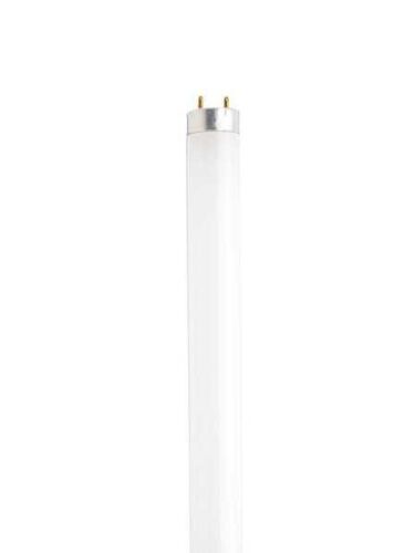 satco_s6536