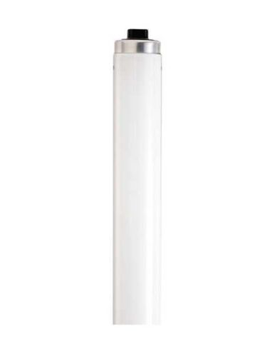 satco_s6587