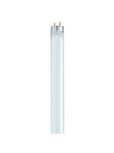 satco_s8441