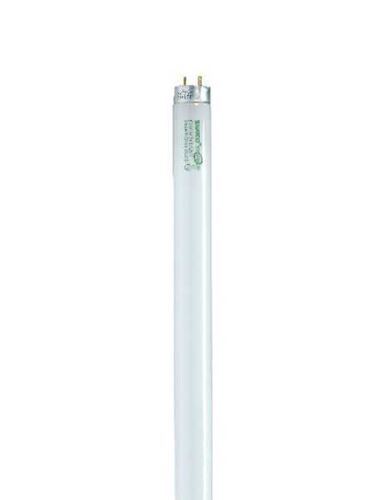 satco_s8444