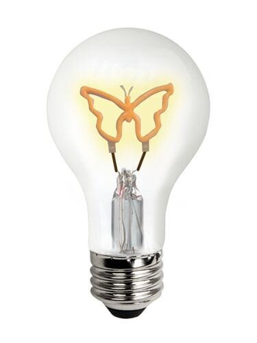 tcp_fa19butterflybd