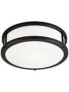 access-lighting_50080leddlp-mbl-opl