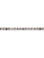 dainolite_dlt-2748