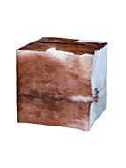 elk-home_6517516