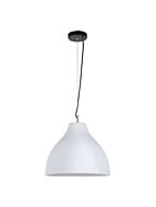 renwil_lpc125w