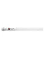 satco_s11730
