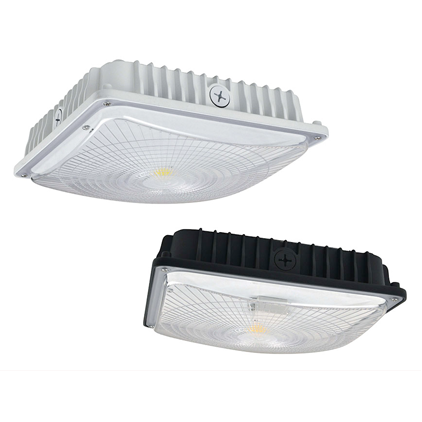 Canopy Lights Canopy Lights